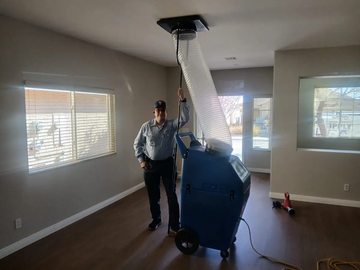 Professional Dryer Vent Cleaning work inside a Greendale home